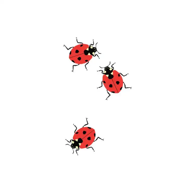 Ladybug Tattoo Stencil (46)