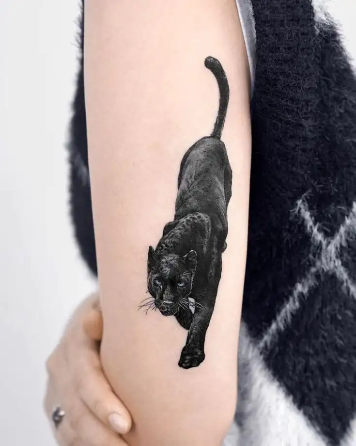 Panther Tattoo (15)