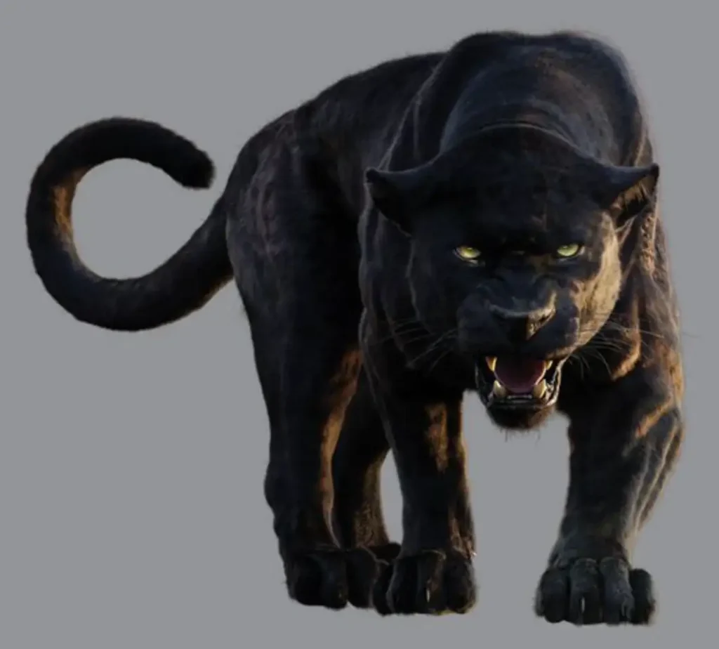 Panther Tattoo (61)