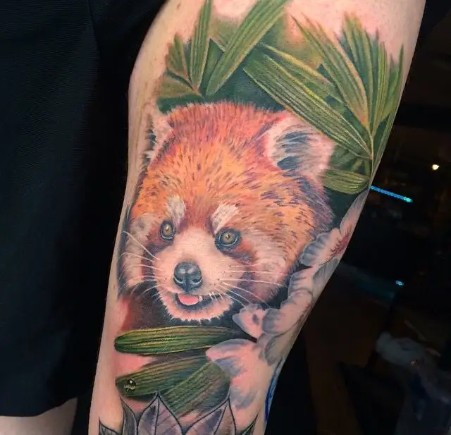 Red Panda Tattoo (24)