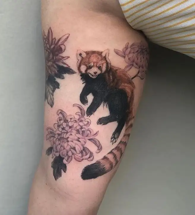 Red Panda Tattoo