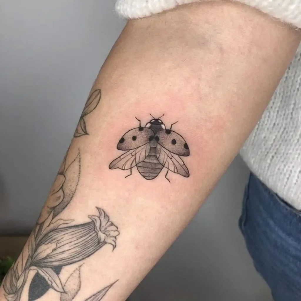 ladybug tattoo ideas
