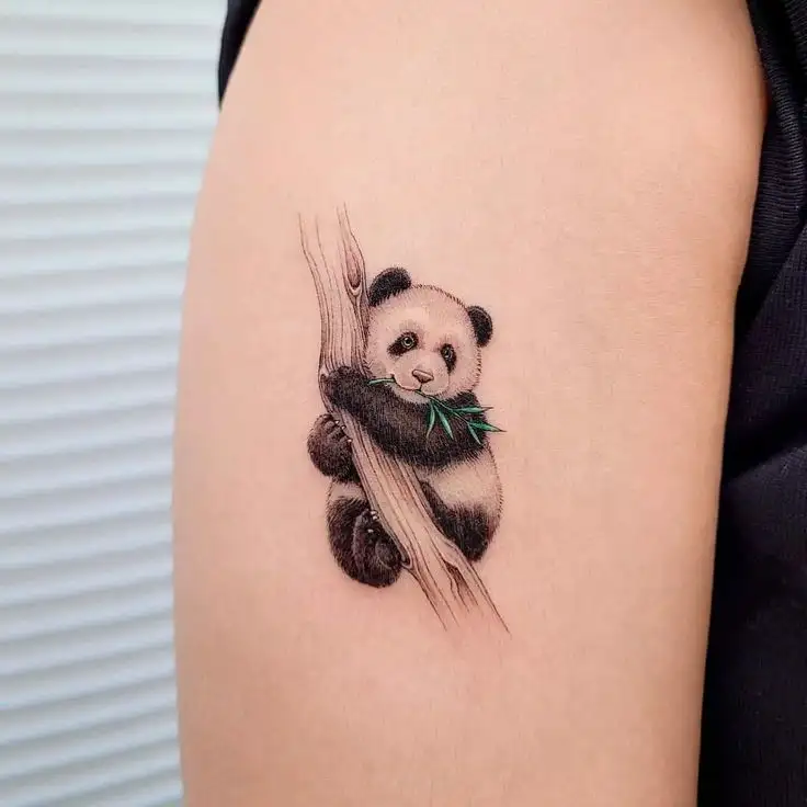 panda tattoo ideas