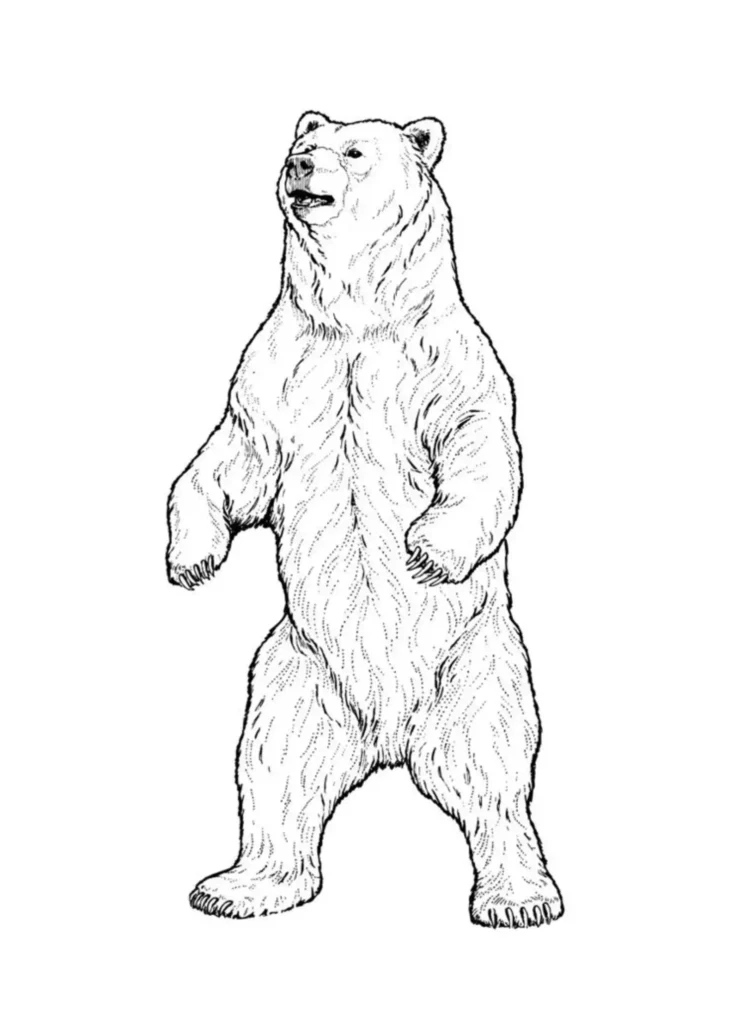 Polar Bear Tattoo Stencil (1)