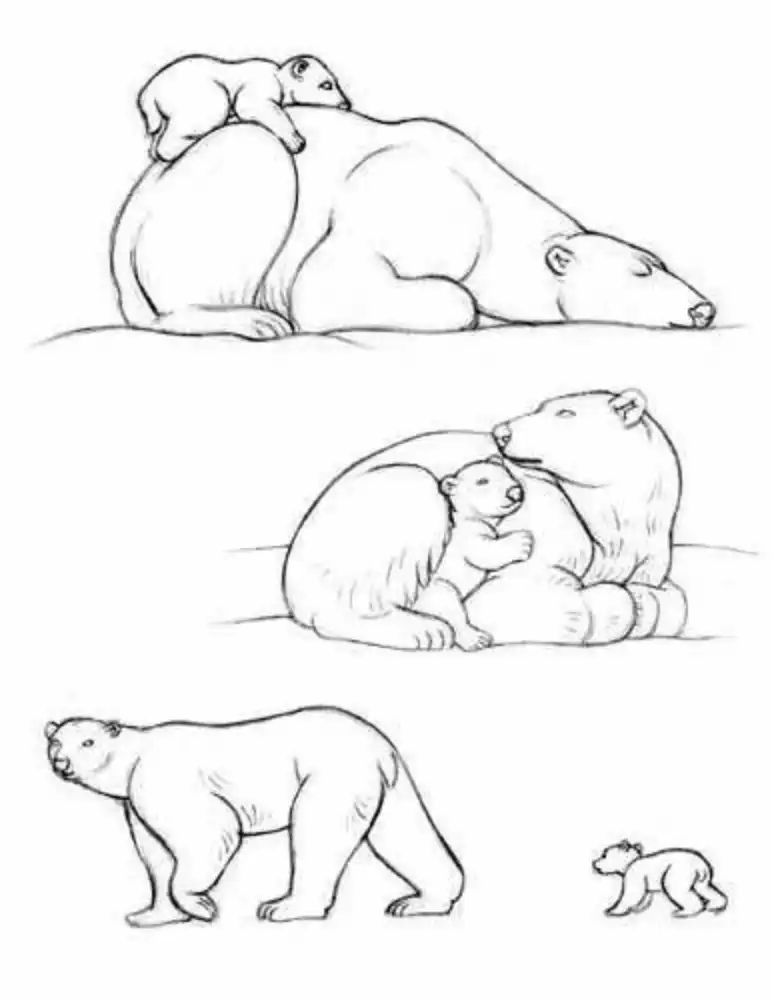 Polar Bear Tattoo Stencil (13)