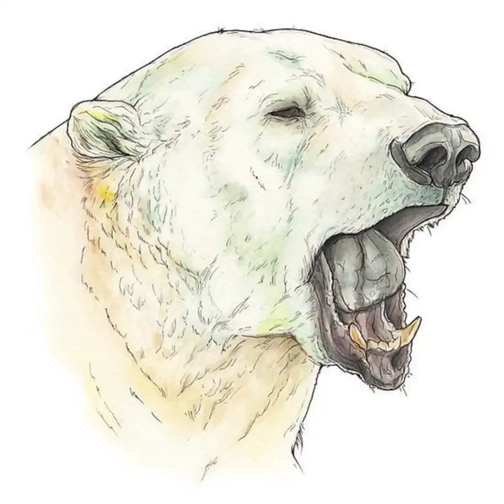 Polar Bear Tattoo Stencil (5)