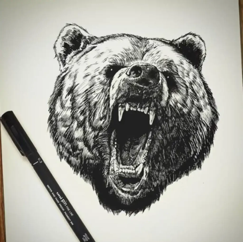 Bear Tattoo Sketch (22)
