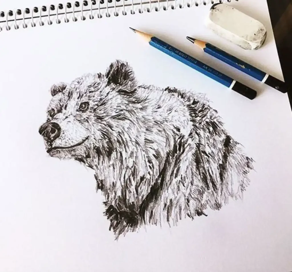 Bear Tattoo Sketch (23)