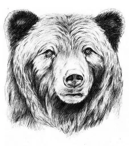 bear tattoo stencil (14)