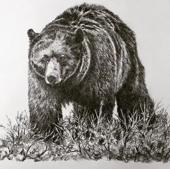 bear tattoo stencil (15)