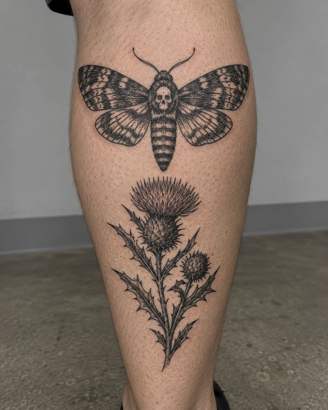 Black engraved moth tattoo above a thistle sprig on the calf