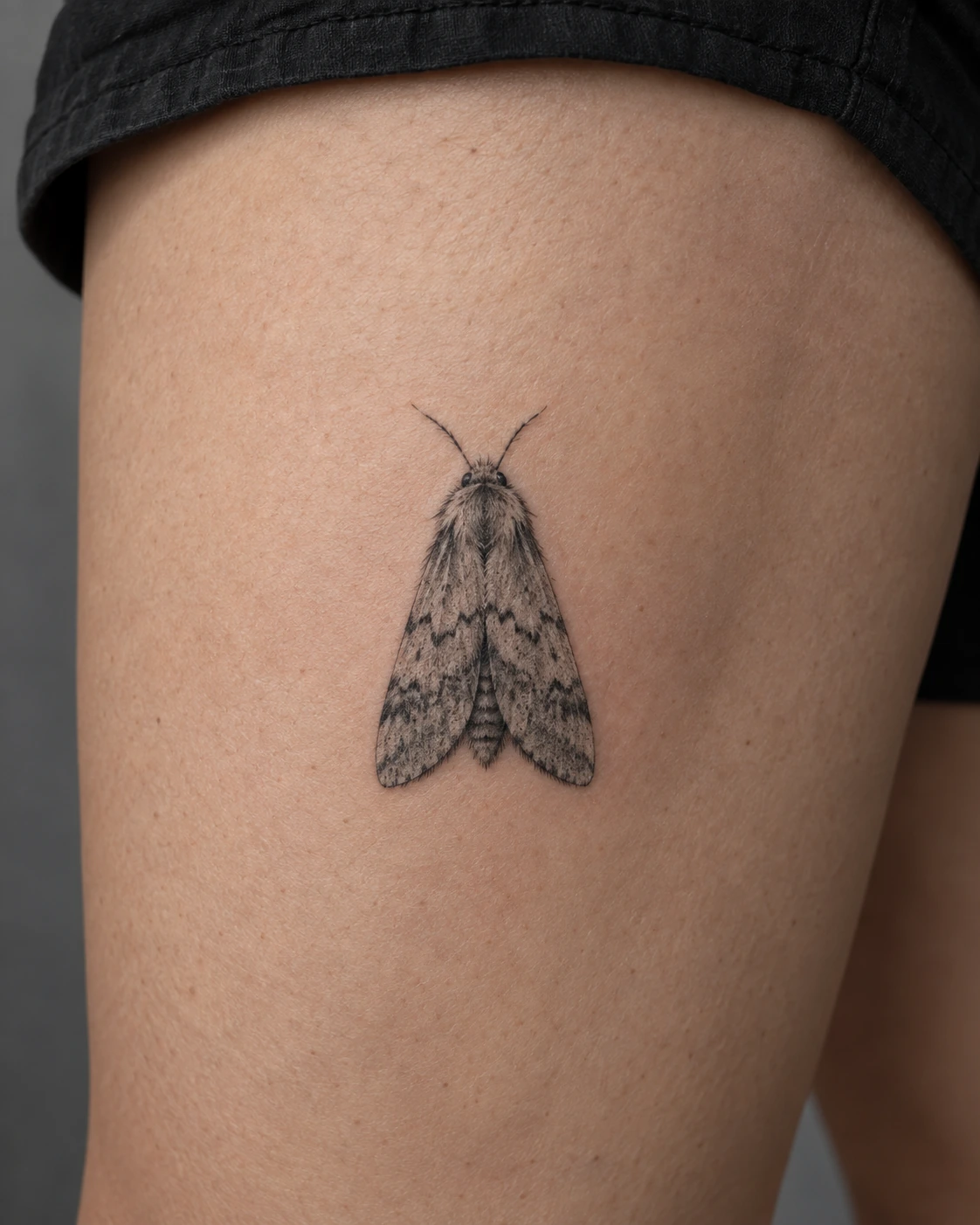 Silver-gray resting moth tattoo with closed forewings and subtle markings on the thigh