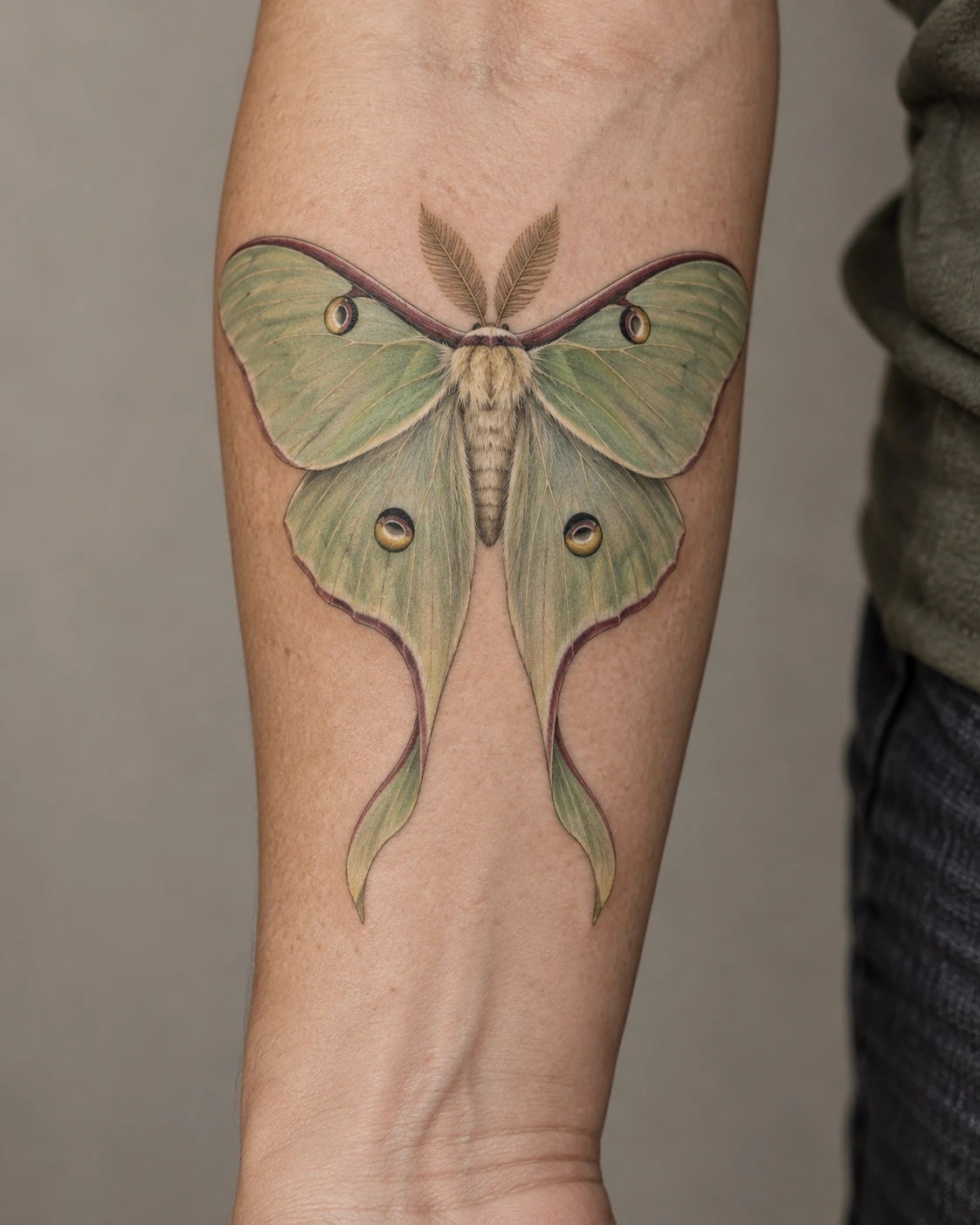 Pale green luna moth tattoo concept with long hindwing tails on the inner forearm