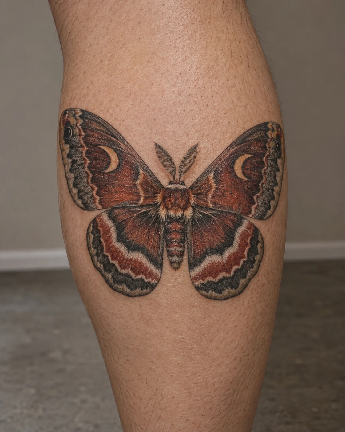 Rust, cream, and charcoal moth tattoo concept with curved wing bands on the calf