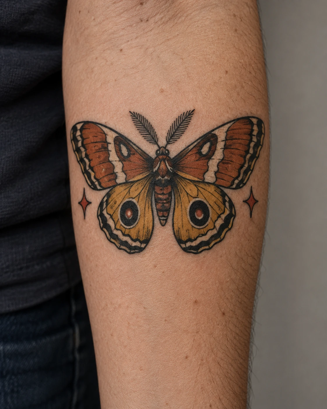 Traditional moth tattoo concept with orange, cream, and mustard wings on the forearm