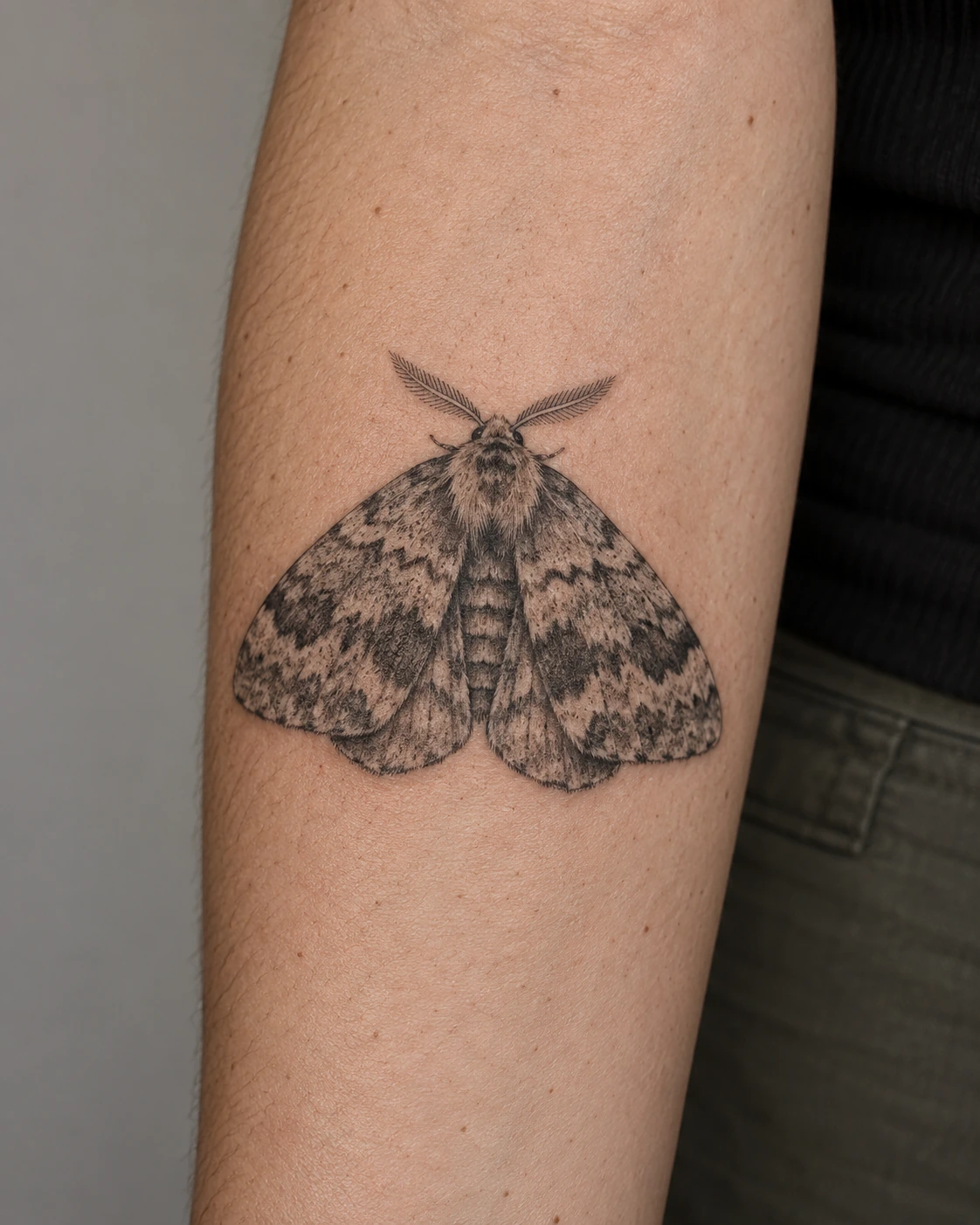 Black-and-gray woodland moth tattoo concept with marbled wings on the forearm